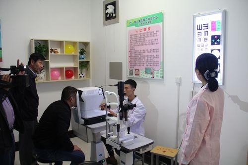 山亭区新手攻略，任务学习与操作步骤全解析