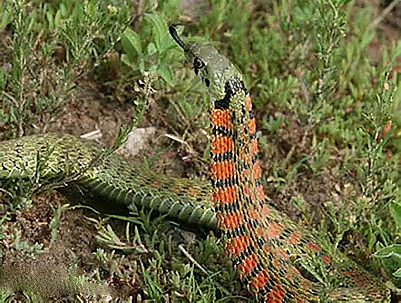 湖北，中部崛起的璀璨明珠之光