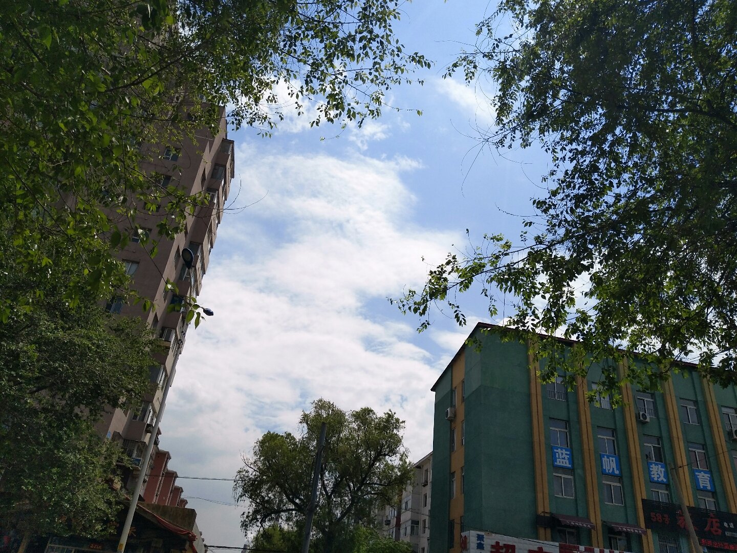 龙潭区，都市繁华中的宁静绿洲