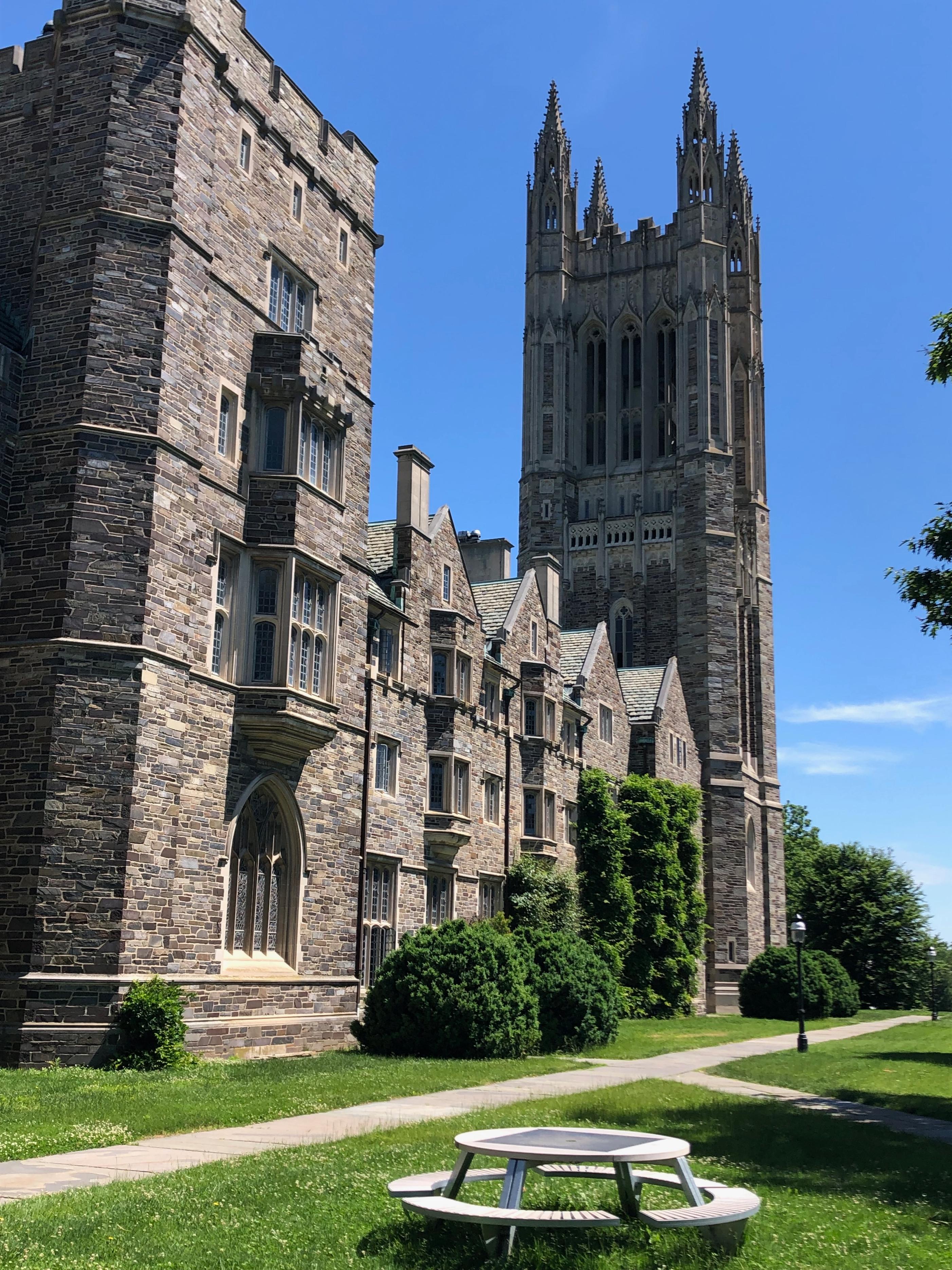 普林斯顿大学,历史长河中的璀璨学术明珠