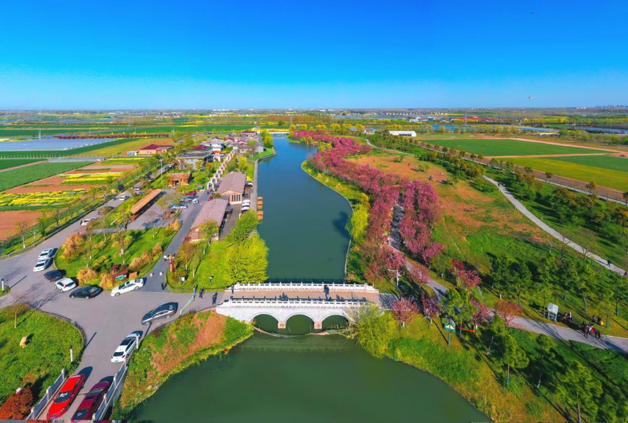 姜堰区,文化传承与发展活力并进