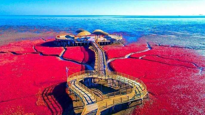 盘锦自然探索之旅，寻找内心的平和与喜悦